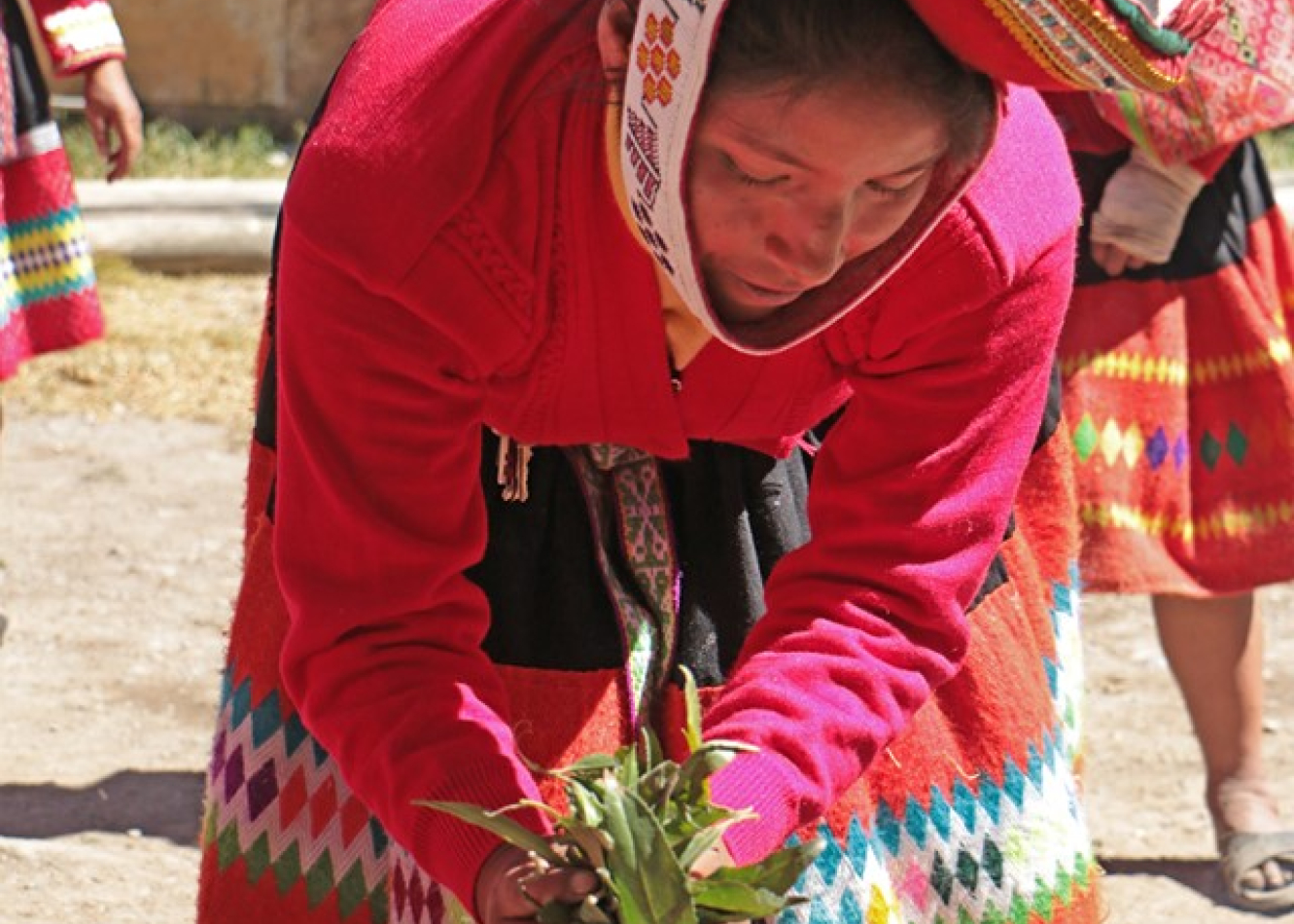 Registro audiovisual del arte textil de la cuenca de Patacancha, Ollantaytambo, Cusco: nuevo documental de la serie Ruraq maki. Artistas tradicionales