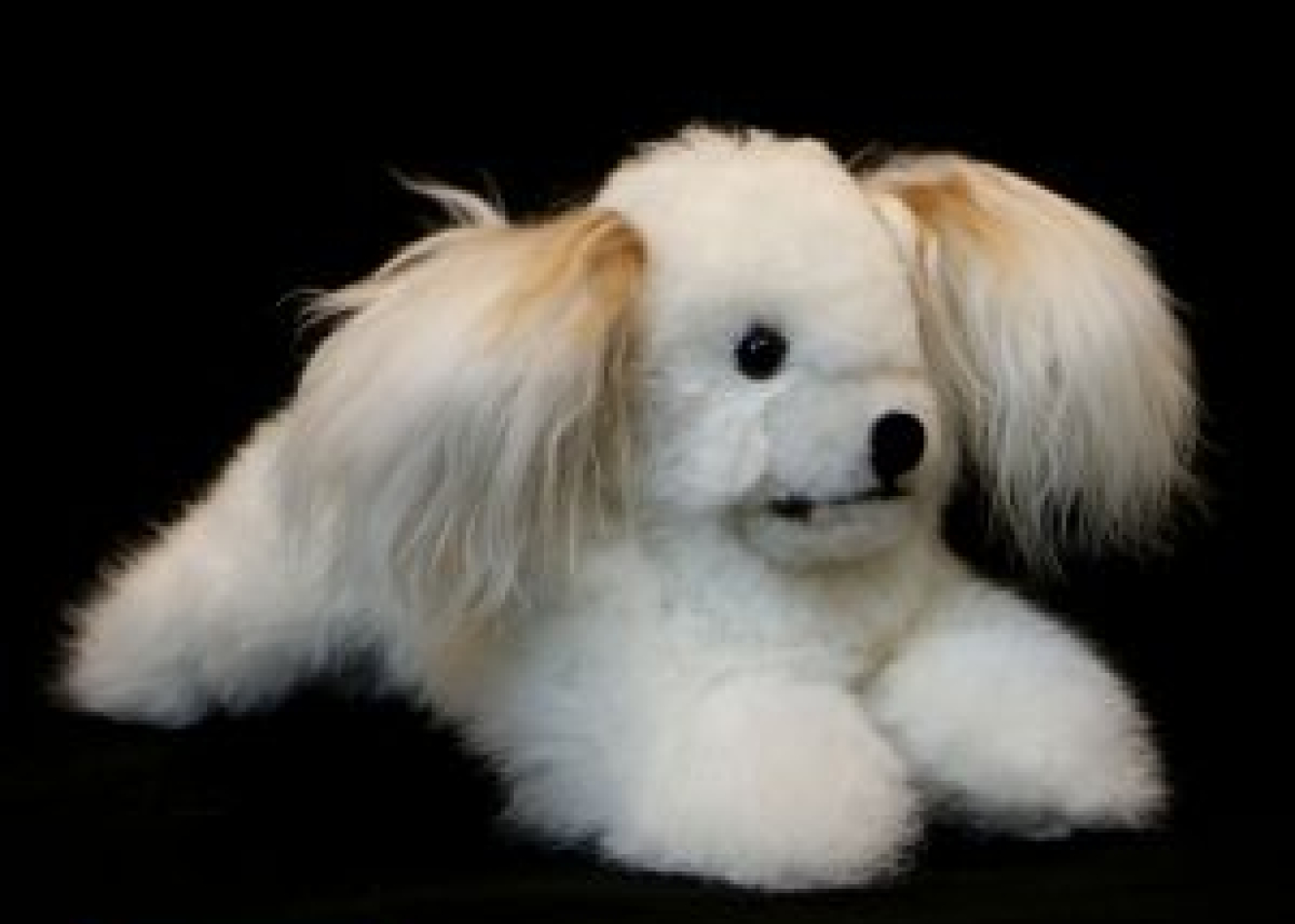 Inauguramos nueva tienda virtual  “Llanka'q Warmis Peletería”