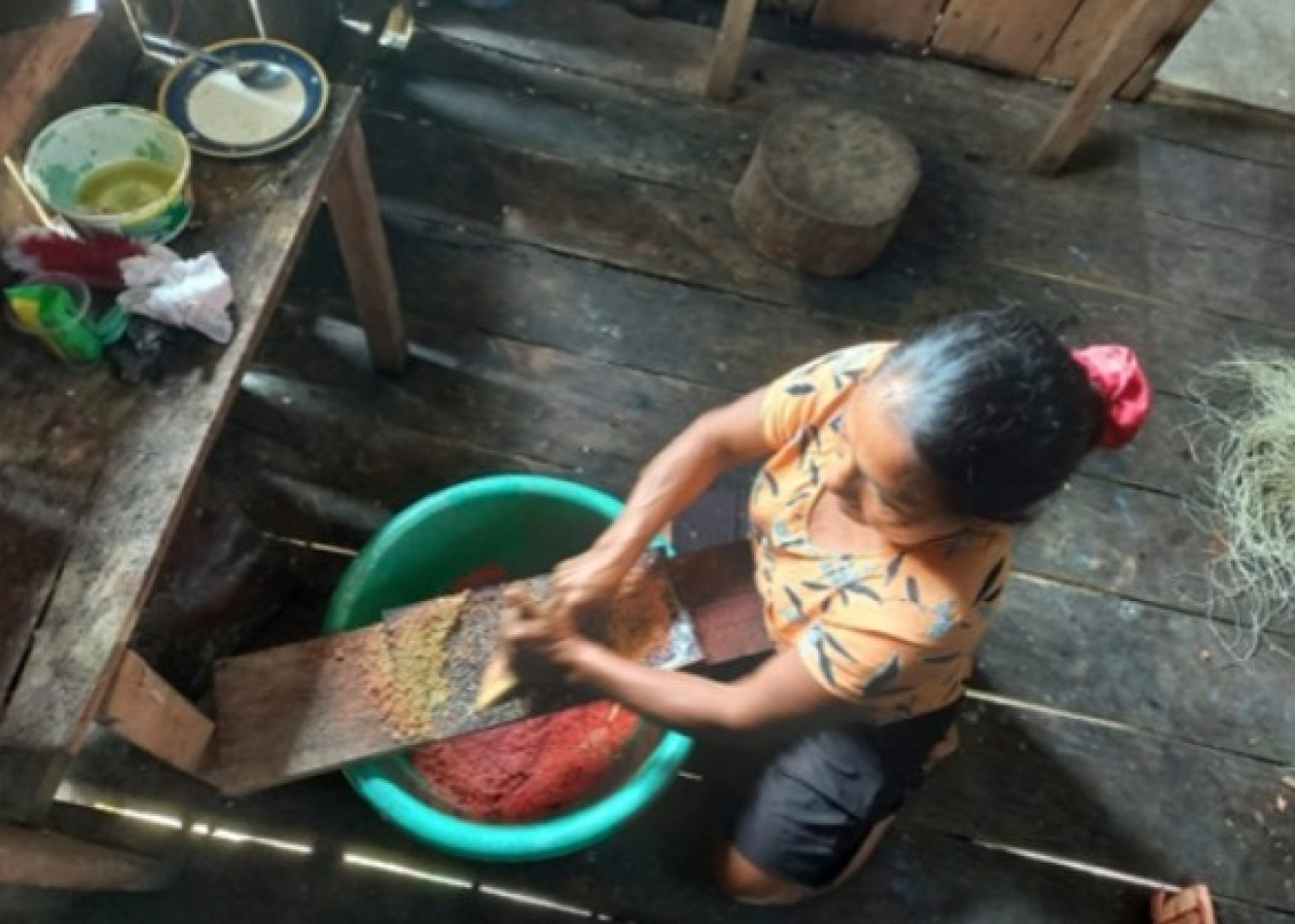 Asociación Las Mariposas