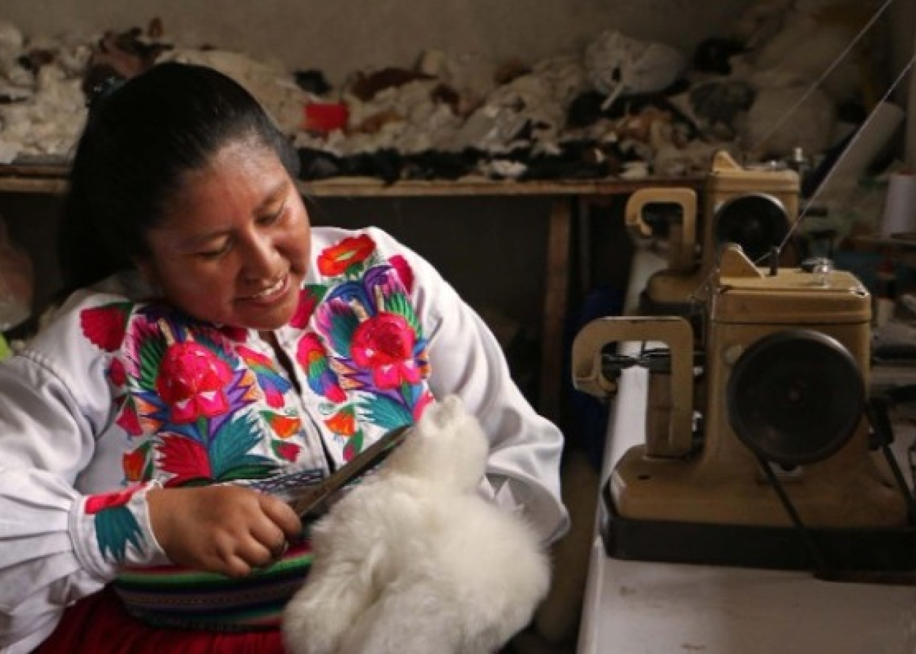 Llanka'q Warmis Peletería