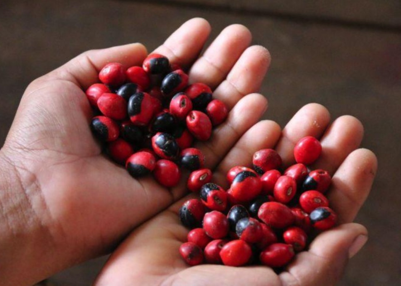 Asociación Provincial de Artesanos y Artesanas YAPIT