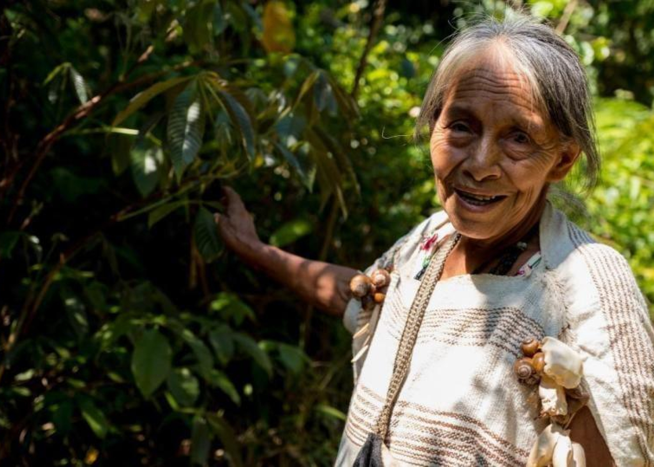 Comunidades Nativas Wachiperi Visita nuestro catálogo virtual en 📲🛒👉https://comunidadeswachiperi.ruraqmaki.pe/